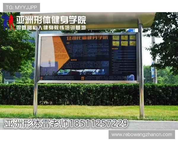 乐动体育全站app与其他体育直播平台的比较分析，选择最适合你的体育应用